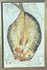 1PICT0284