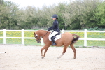 SBM_006584