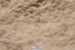 230813A-114614-12117