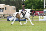 SBM_17695