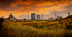 Steel on a Golden Landscape