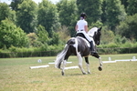 WJ6_7932