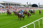 250725-Race 4-Dicko The Legend-0612