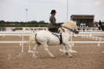 SBM_05535