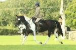 SBM_66528