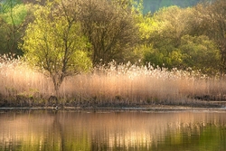 Springtime on the water.