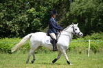 WJ6_4470