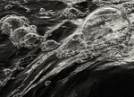 Water Bubbles Abstract in Black and White