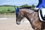 BPP_7136