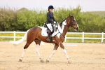 SBM_007336
