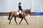 SBM_000381