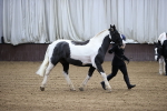 SBM_5285