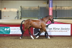 SBM_14950