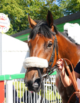 240726-Race 4-Port George-01522