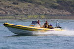 180506 YELLOW SCORPION RIB 1Y3A0019