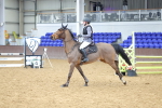 SBM_009446