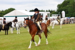 SBM_08780