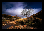 Dales Sunshire