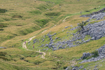 Ingleborough-2