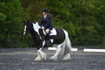 WJ5_8683
