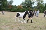 WJ6_5708