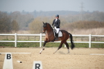 SBM_007297