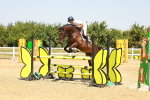 SBM_001492