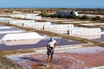 Harvesting Salt