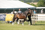 SBM_10345