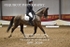 BPP_3034