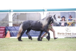 SBM_09796
