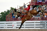 3HRodeo7-25-25_CFD_02872_
