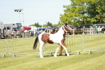 SBM_04108