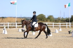 SBM_012484