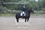 BPP_0494