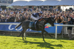 141023-Race 5-Certain Lad-0544