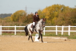 SBM_010426