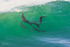 Dolphins playing in wave