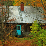 Palace in the Woods