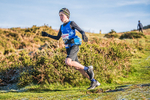 Sale Fell-82