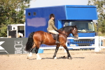 SBM_03386
