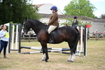 WJ6_3864