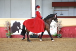 SBM_13391