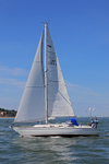 180603 CORNISH GOLD GBR2264L 1Y3A4065_Edit