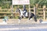 BPP_7896