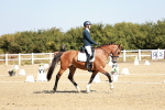 SBM_017305
