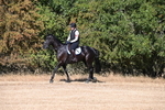 WJ6_6746