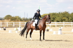SBM_019290