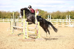 SBM_003534