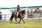 SBM_15749